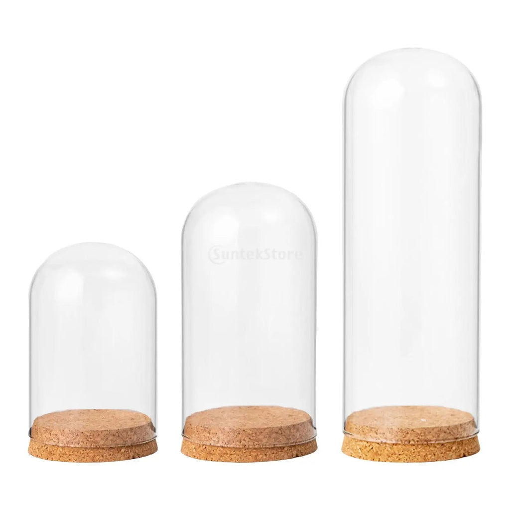 Glasglocke mit Holzsockel – Deko Vitrine Ø15cm | CalveraHome - CalveraHome