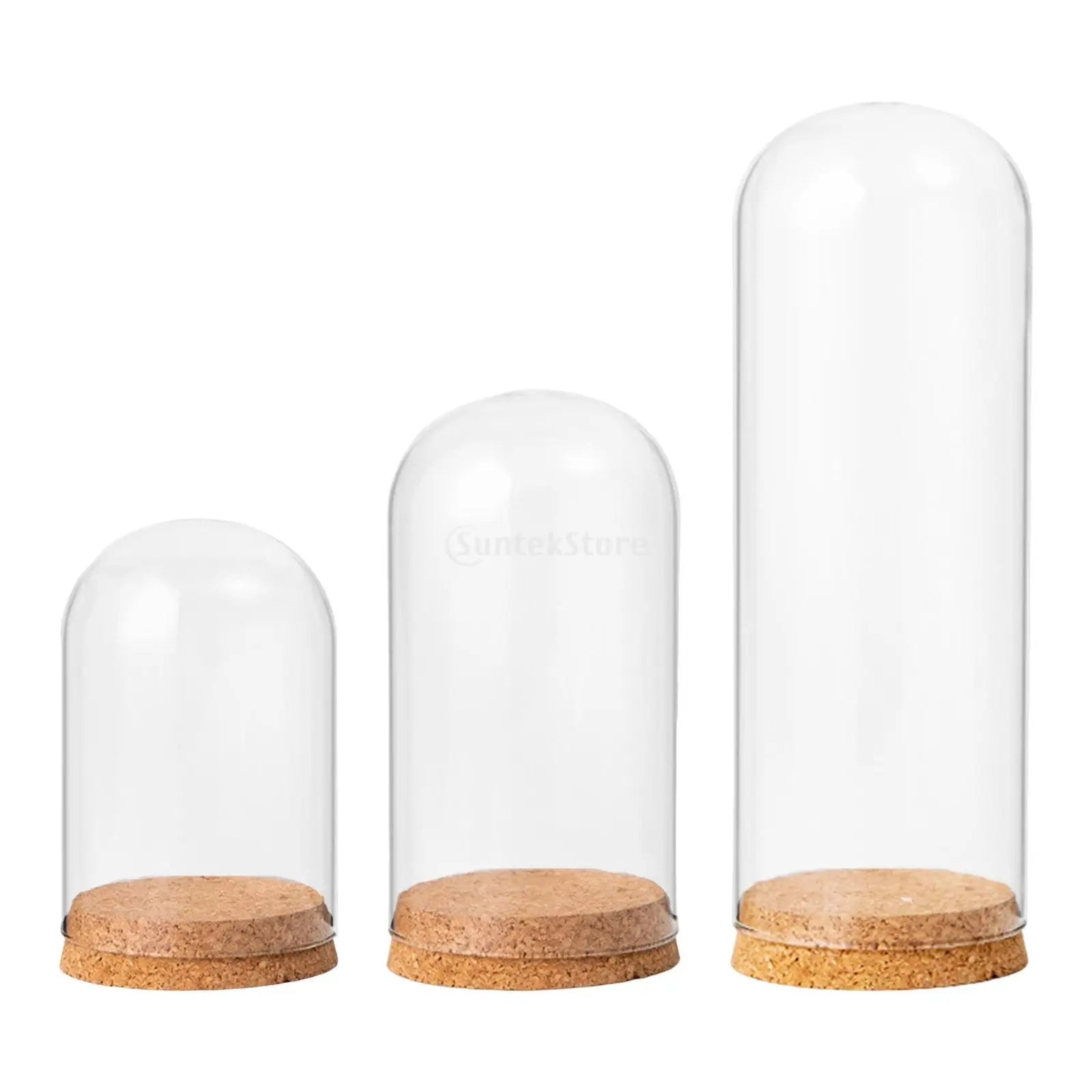 Glasglocke mit Holzsockel – Deko Vitrine Ø15cm | CalveraHome - CalveraHome