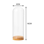 Glasglocke mit Holzsockel – Deko Vitrine Ø15cm | CalveraHome - CalveraHome