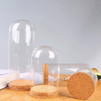 Glasglocke mit Holzsockel – Deko Vitrine Ø15cm | CalveraHome - CalveraHome