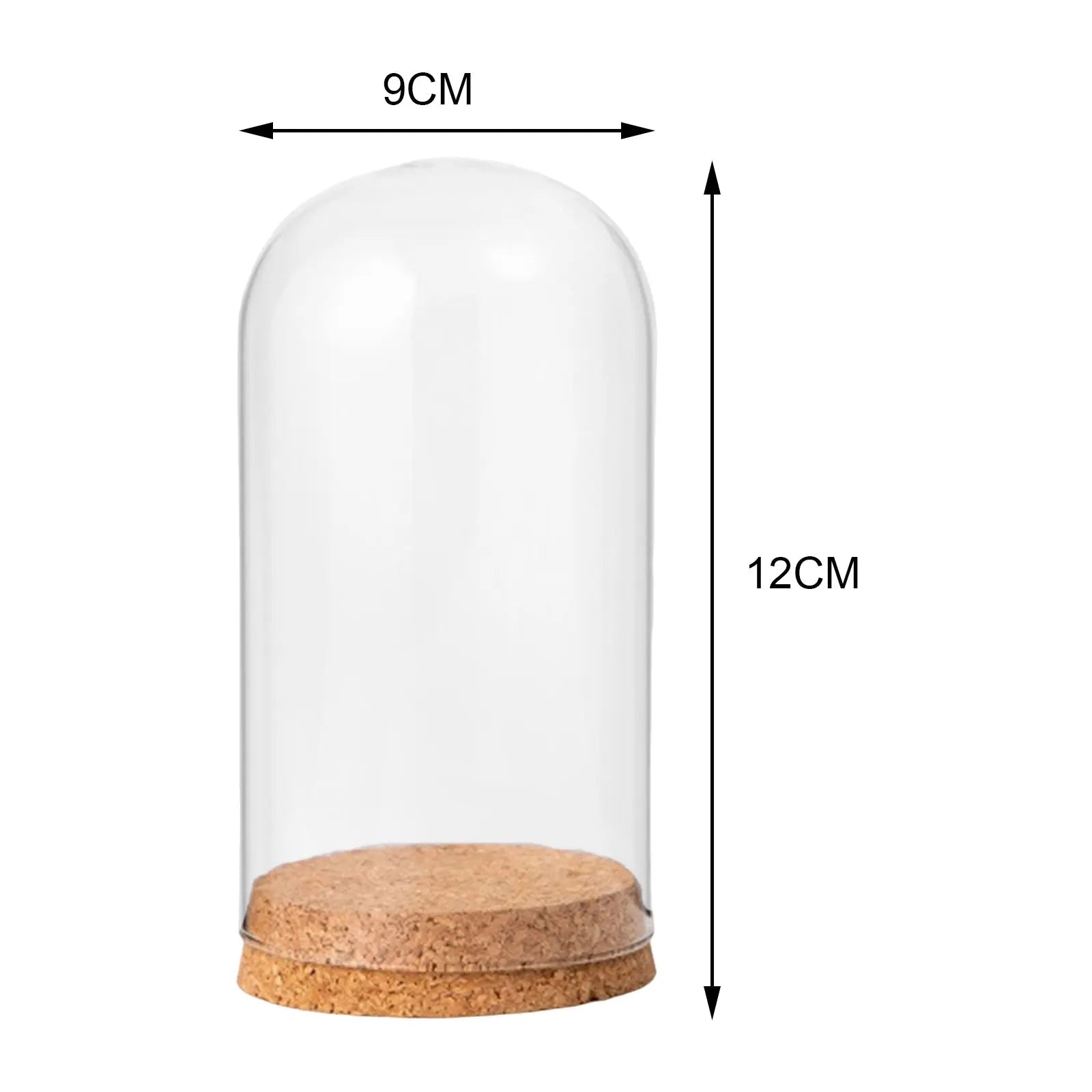 Glasglocke mit Holzsockel – Deko Vitrine Ø15cm | CalveraHome - CalveraHome