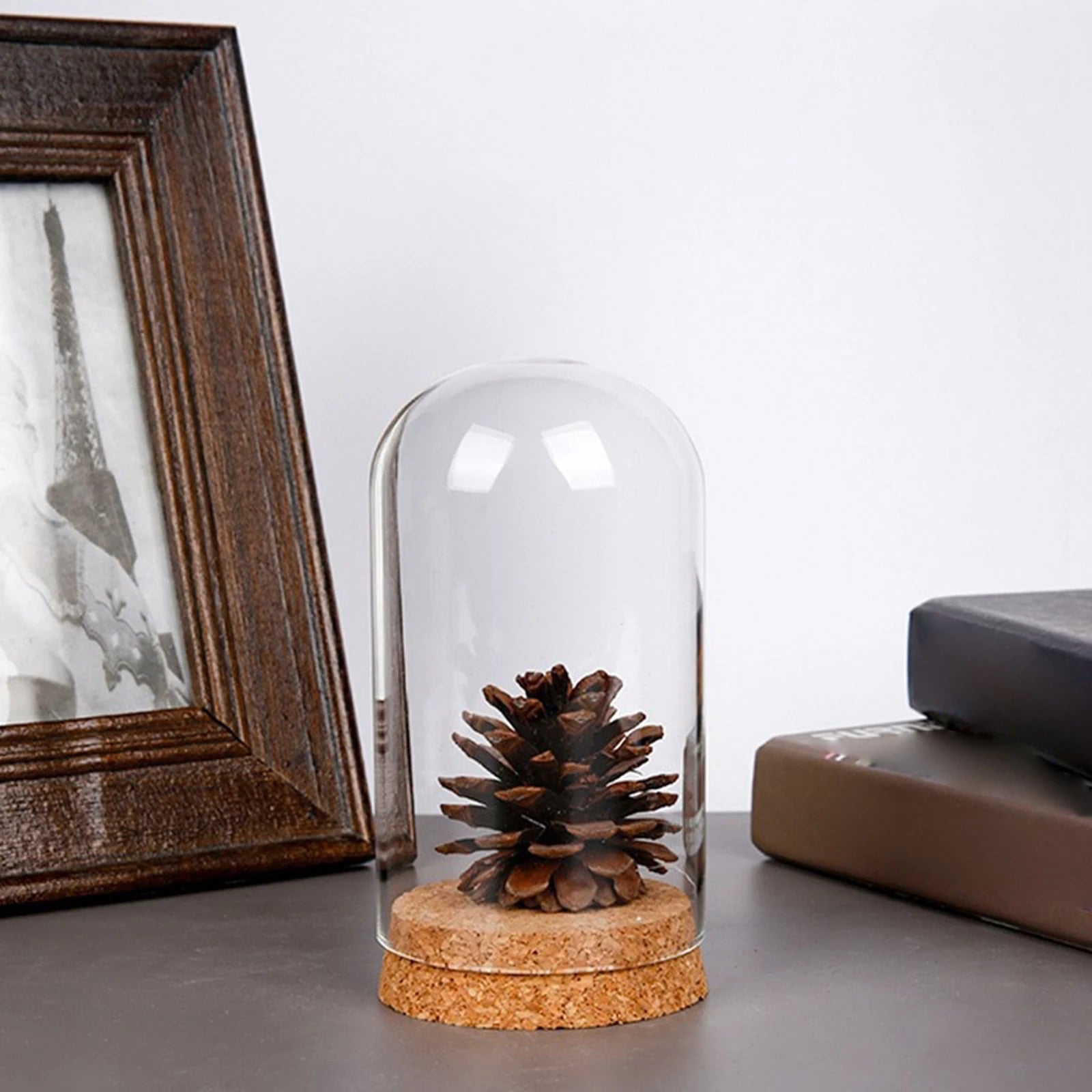 Glasglocke mit Holzsockel – Deko Vitrine Ø15cm | CalveraHome - CalveraHome