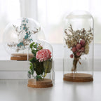 Glasglocke mit Holzsockel – Deko Vitrine Ø15cm | CalveraHome - CalveraHome