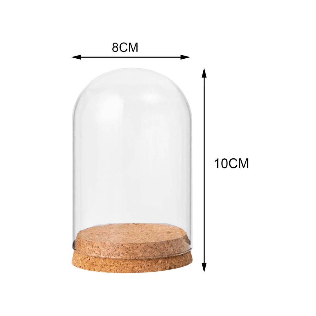 Glasglocke mit Holzsockel – Deko Vitrine Ø15cm | CalveraHome - CalveraHome