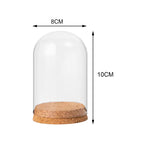 Glasglocke mit Holzsockel – Deko Vitrine Ø15cm | CalveraHome - CalveraHome