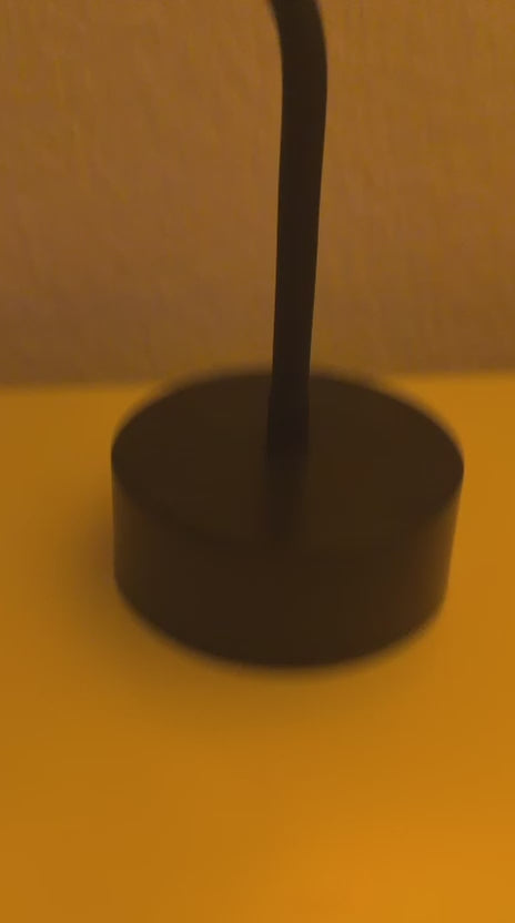 Video 3