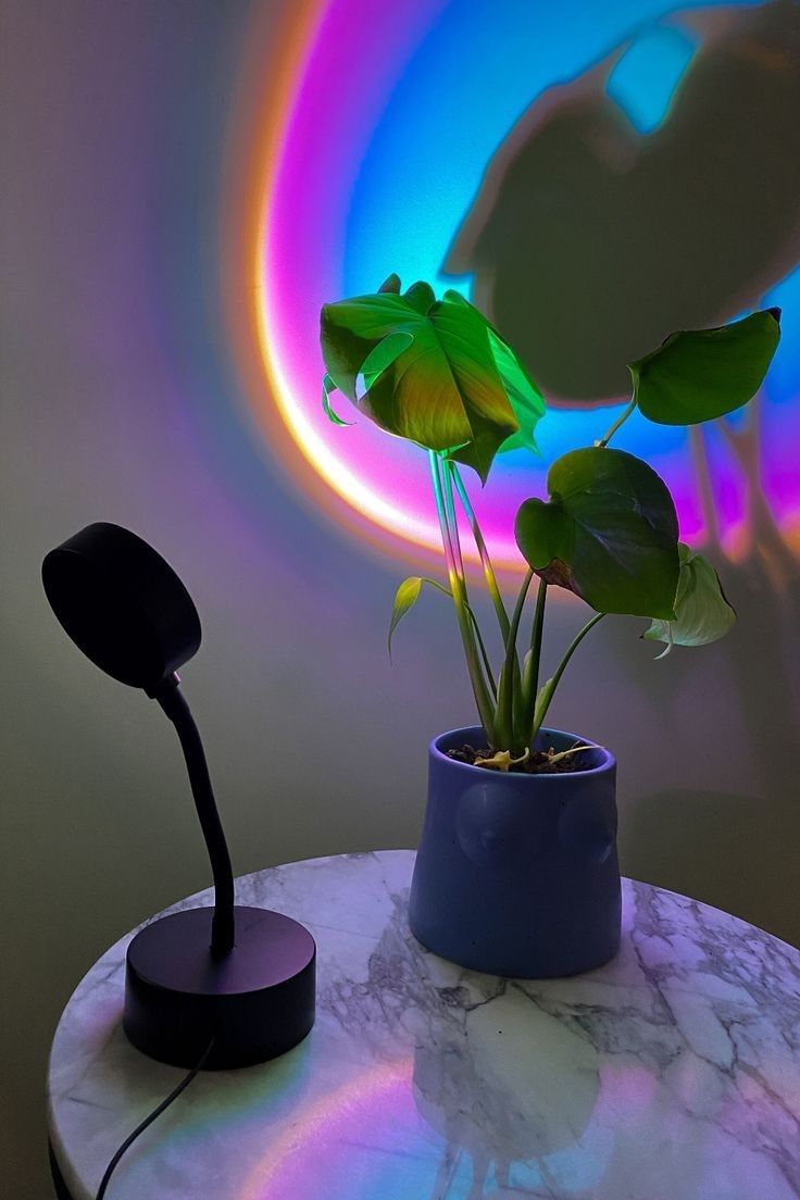 Sunset Lamp – 365 Tage goldene Stunde für deine Wohnung | CalveraHome - CalveraHome